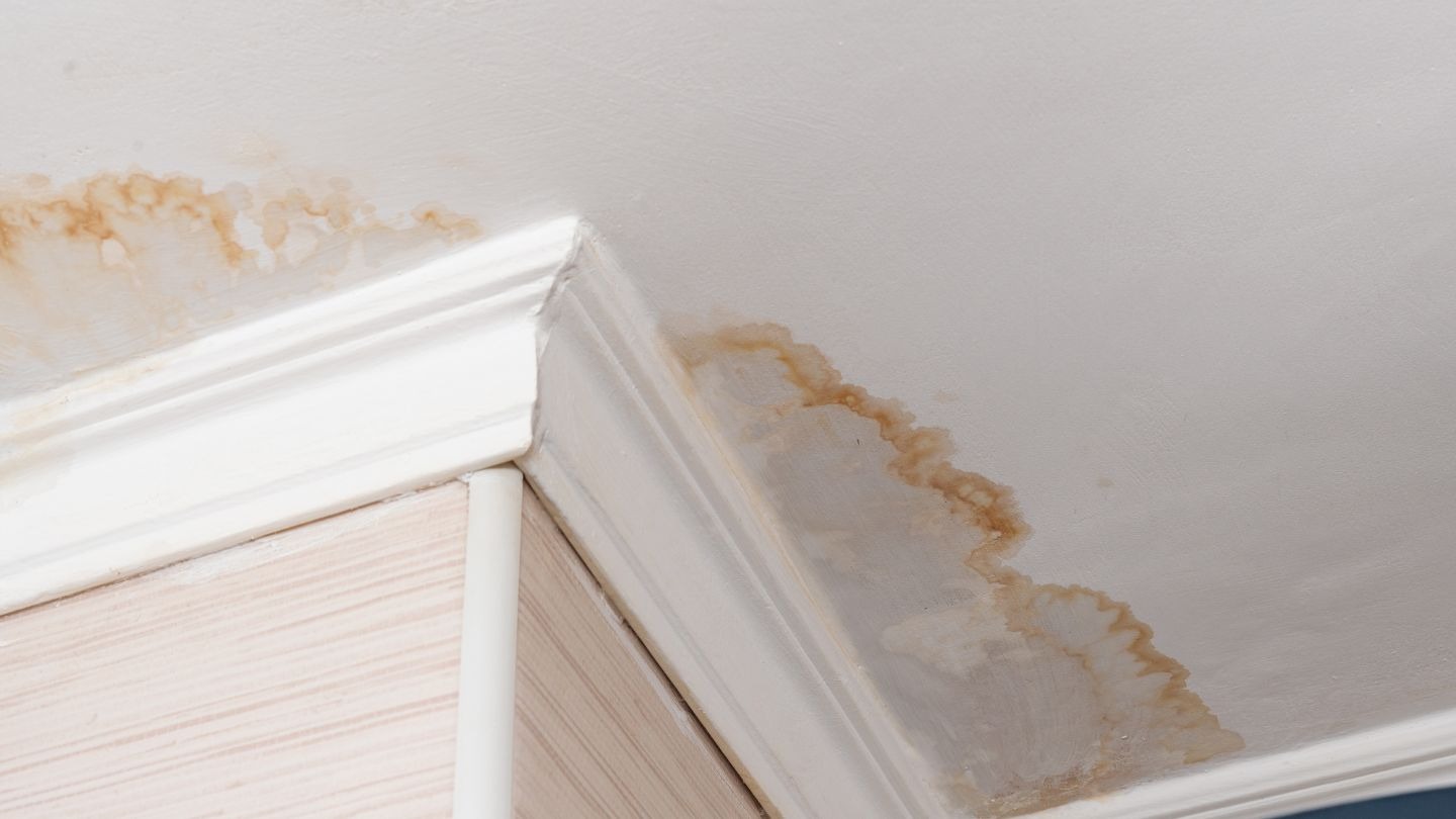 Water damage and moisture problems found during a home inspection