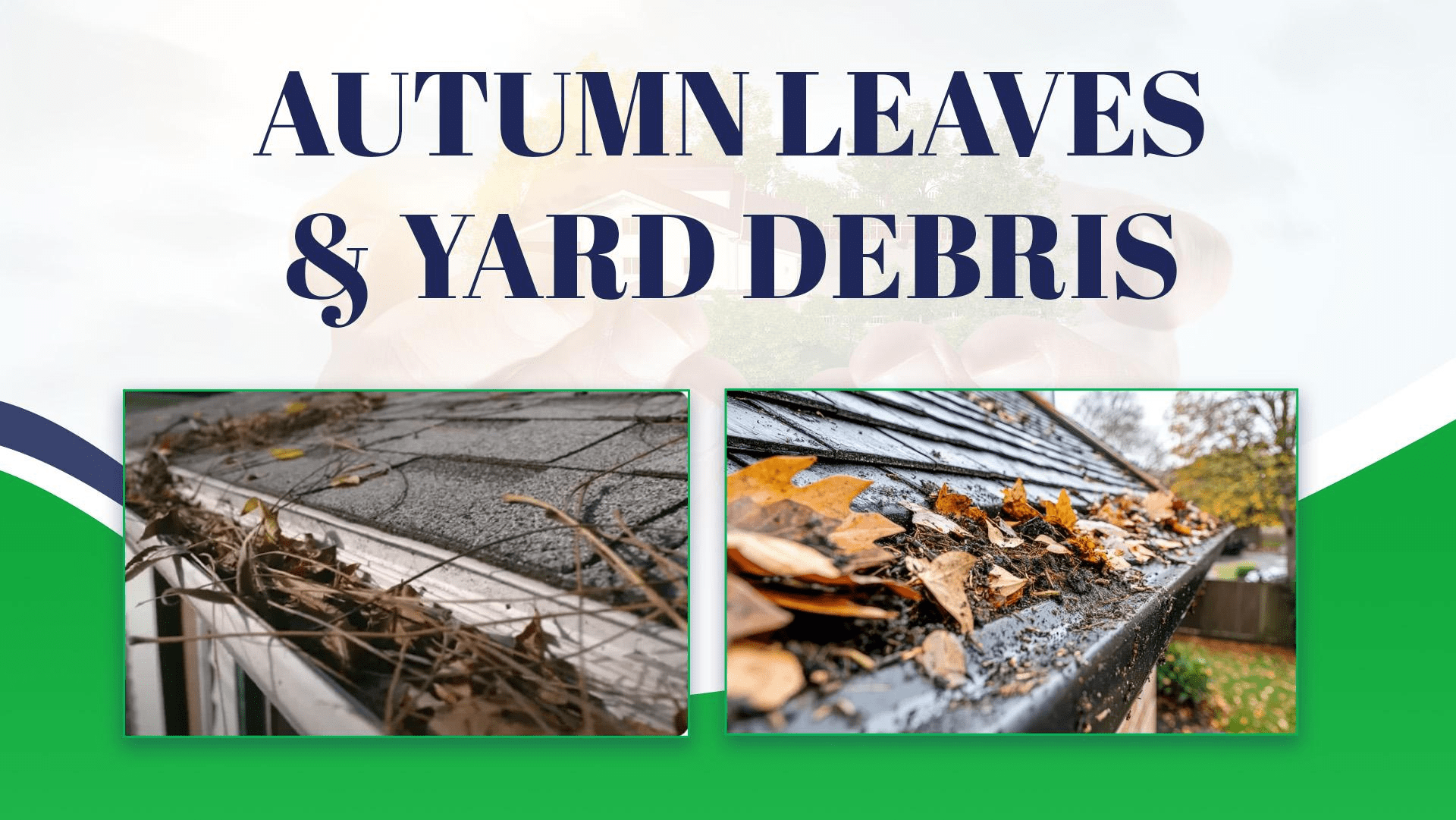 gutter Autumn Leaves Yard Debris