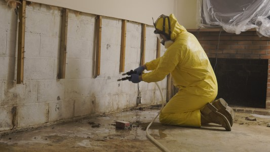 Basement & Crawl Space