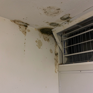 HVAC & Air Duct