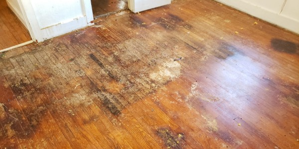 Flooring